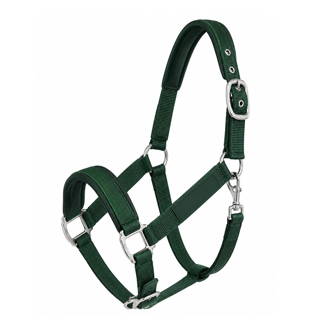 Forest Green Padded Halter